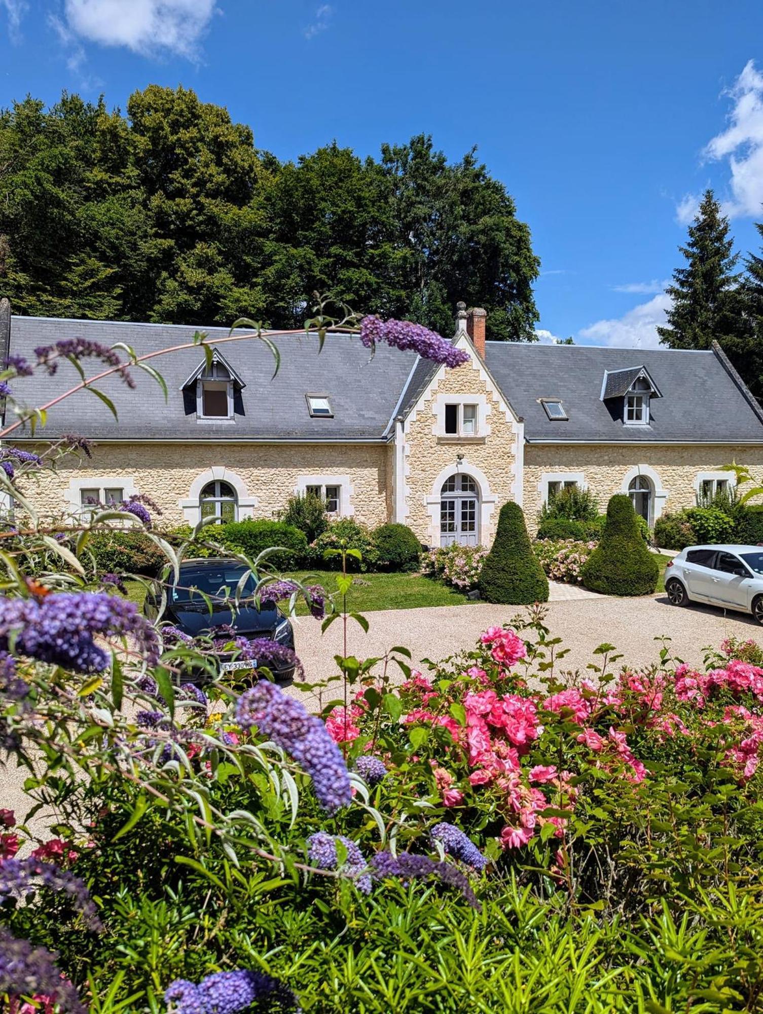 Chateau De La Menaudiere Chissay-en-Touraine Екстериор снимка